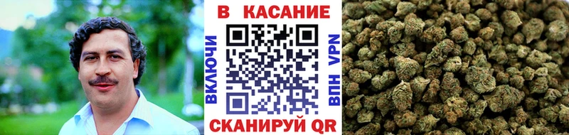 Где купить наркоту Рассказово Конопля  Cocaine  АМФ  ГАШИШ 