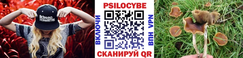 мега ONION магазин продажи Рассказово Галлюциногенные грибы MAGIC MUSHROOMS